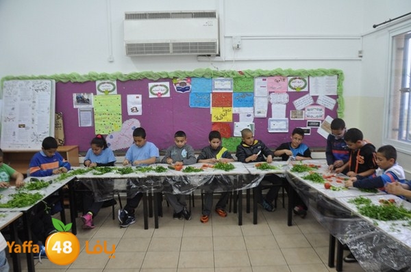 tolab 7san qmeam (26).JPG